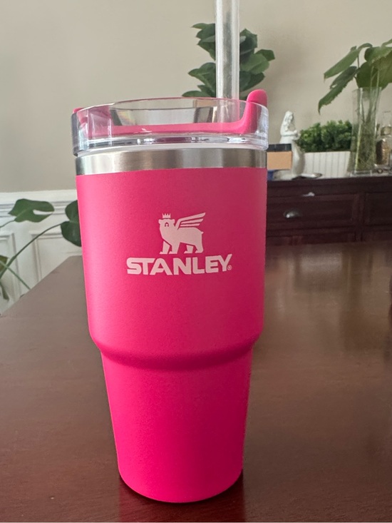 Stanley Other - STANLEY 20 oz PINK Tumbler with Straw